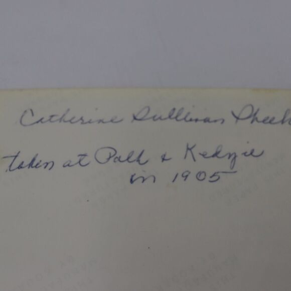 Vintage Photograph Chicago Kedzie & Polk  1905 Old Lady in Dress - Picture 6 of 6